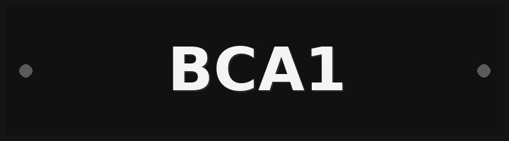 Plate BCA1