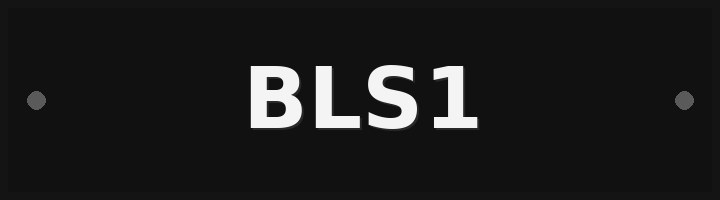 Plate BLS1