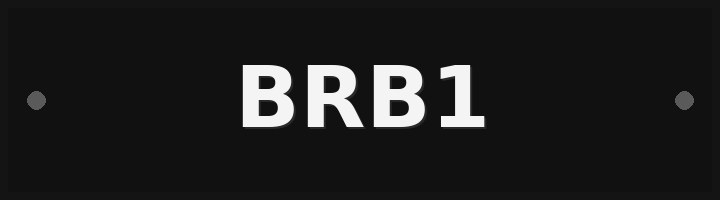 Plate BRB1